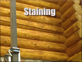  Scranton, North Carolina Log Home Staining